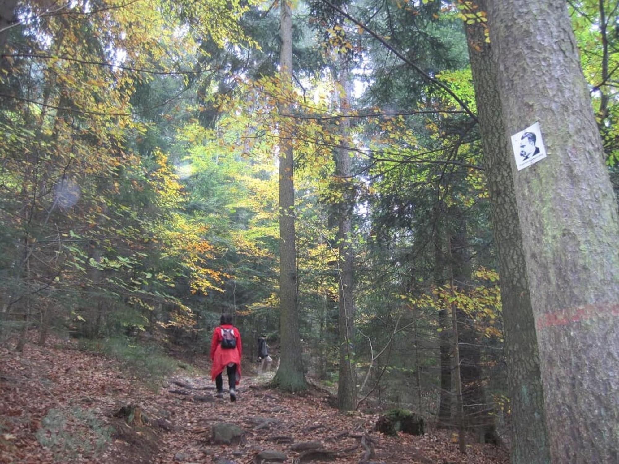 Gschwandnerhof Villa Michelsneukirchen Bagian luar foto