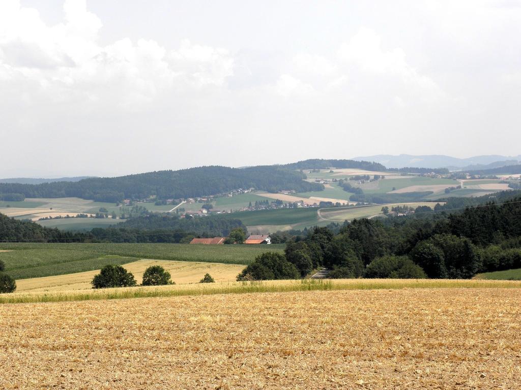 Gschwandnerhof Villa Michelsneukirchen Bagian luar foto