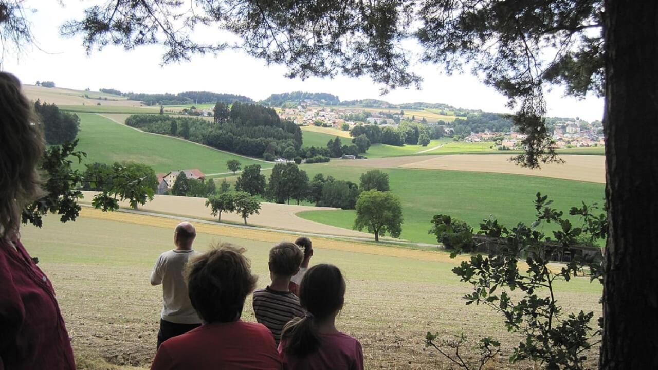 Gschwandnerhof Villa Michelsneukirchen Bagian luar foto