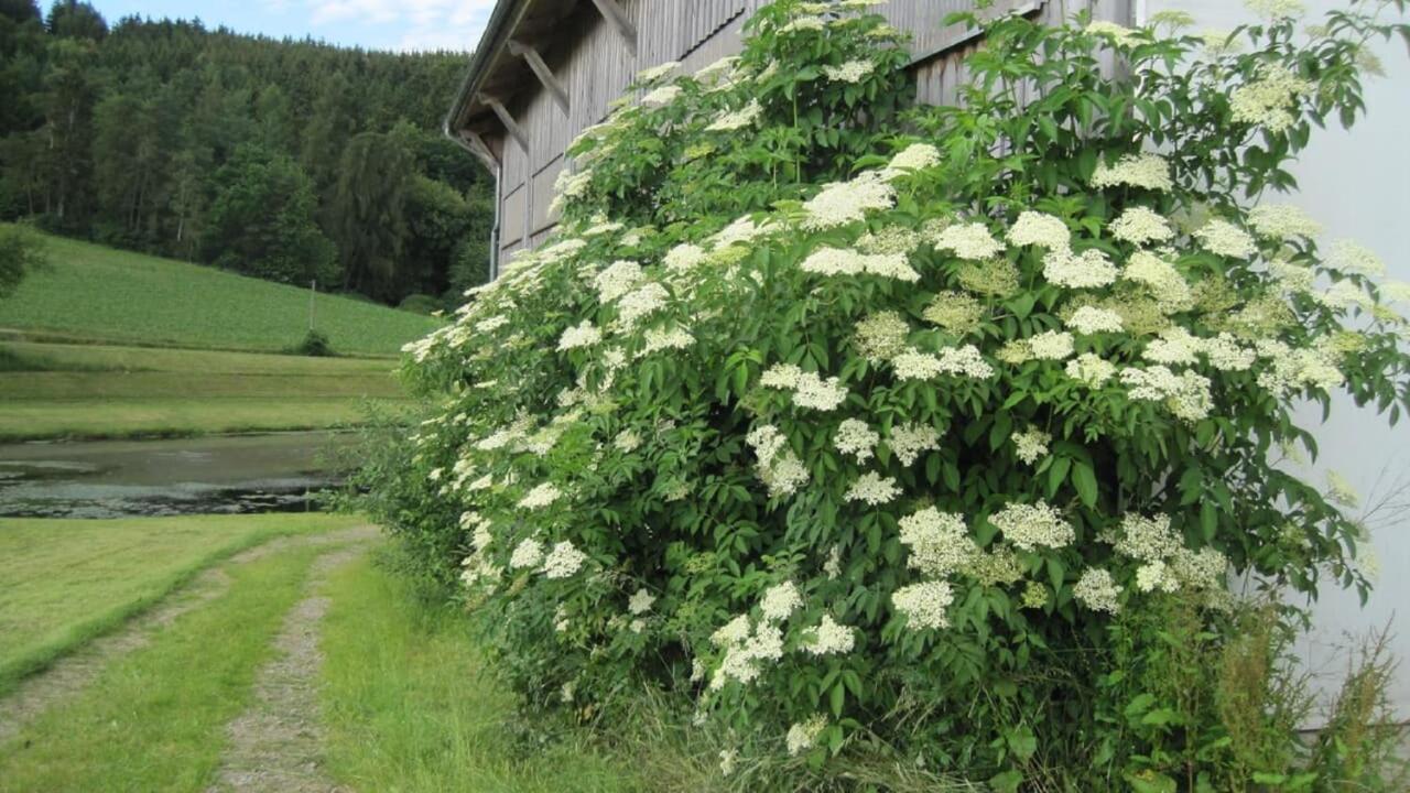 Gschwandnerhof Villa Michelsneukirchen Bagian luar foto