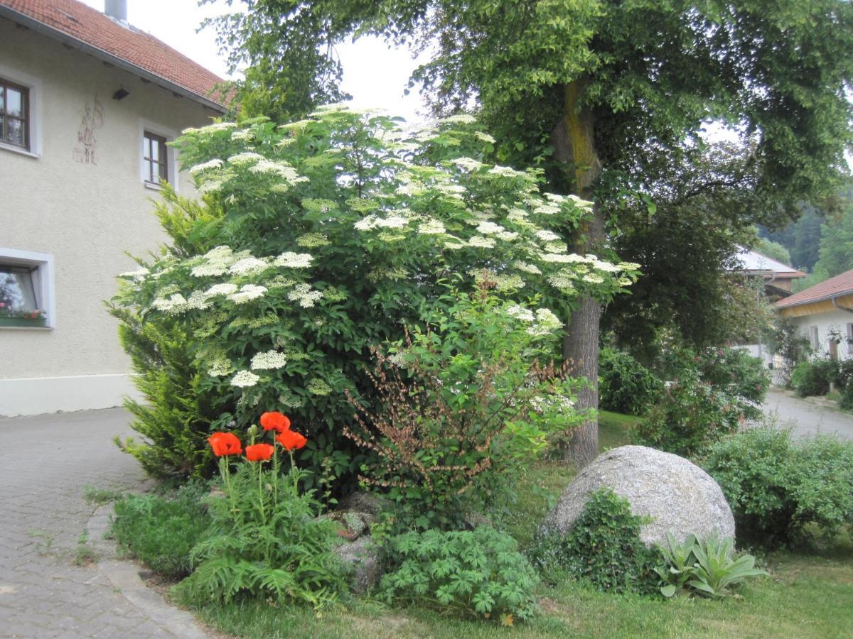 Gschwandnerhof Villa Michelsneukirchen Bagian luar foto